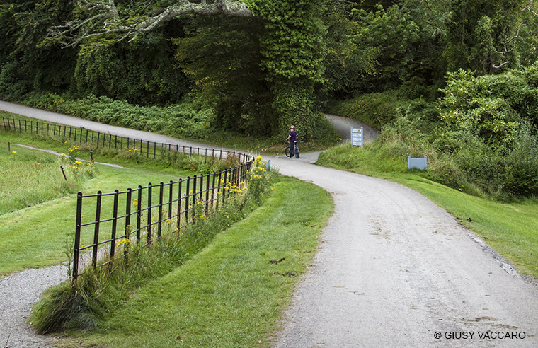 Killarney Nationa Park