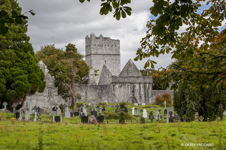 Muckross Abbey - Killarney National Park