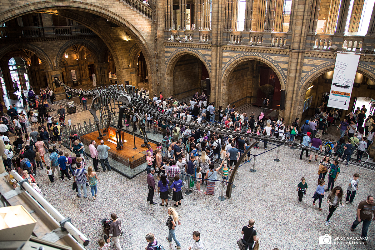 Natural History Museum