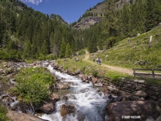 Cosa vedere in Trentino d'estate