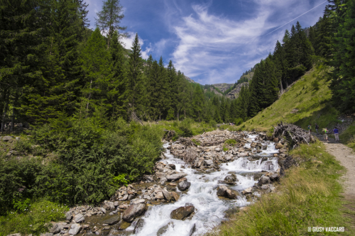 Val di Rabbi - Cascate del Saent