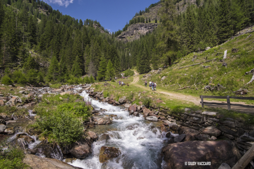 Val di Rabbi - Cascate Saent